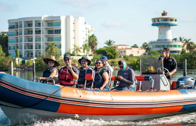 Avistamento de baleias em Mazatlán - Foto 7