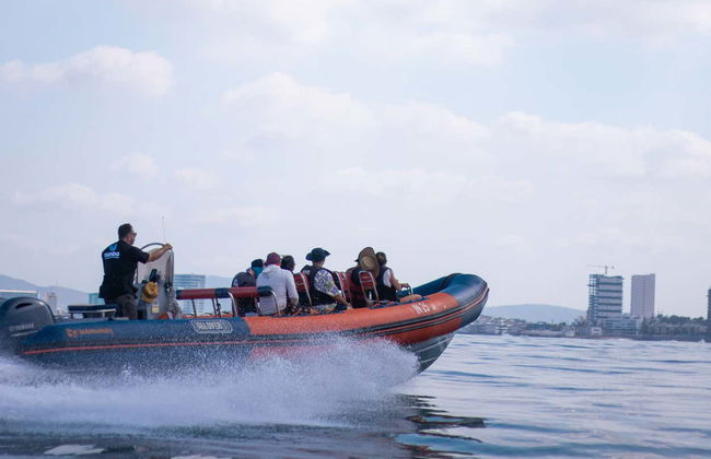 Observation de baleines à Mazatlán - Photo 6