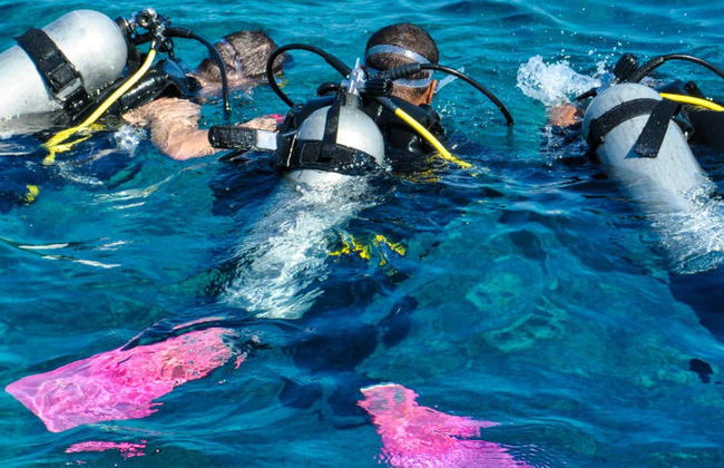 Curso de buceo PADI Open Water - Foto 8