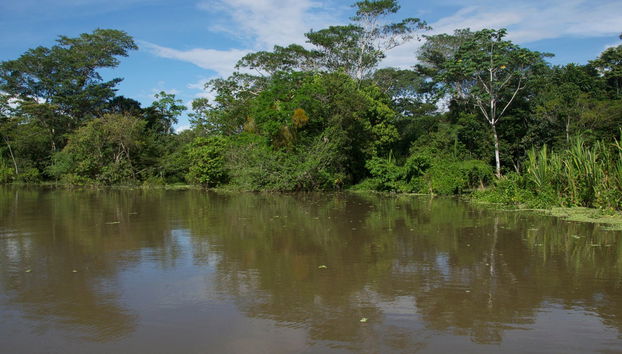 Half-Day Trip to Lake Yarinacocha - Foto 5