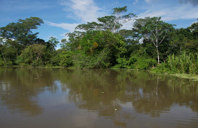 Half-Day Trip to Lake Yarinacocha - Foto 5