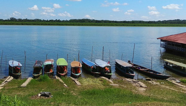 Half-Day Trip to Lake Yarinacocha - Foto 4