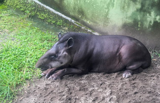 Half-Day Trip to Lake Yarinacocha - Foto 3