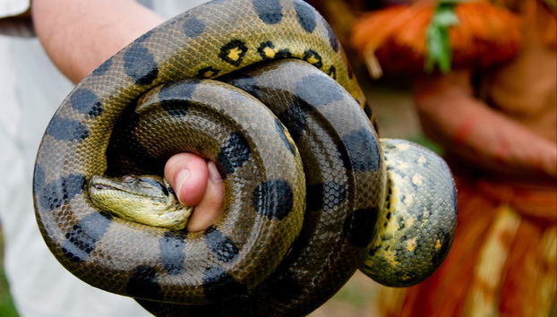 Half-Day Trip to Lake Yarinacocha - Foto 2