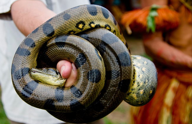 Half-Day Trip to Lake Yarinacocha - Foto 2