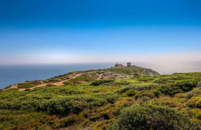 Balade en 4x4 à Arrábida et au Cap Espichel - Photo 4