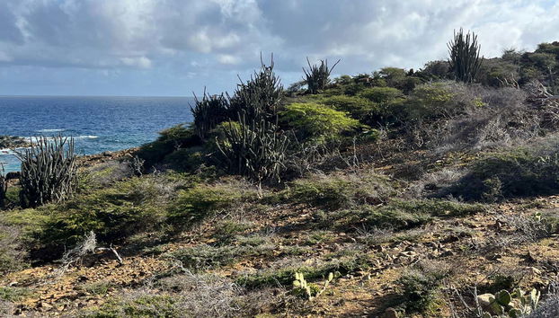 Senderismo por Arikok - Foto 3