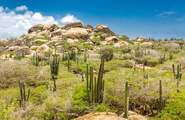 Arikok Hiking Tour - Foto 1