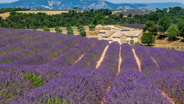 Excursion au Parc Naturel du Verdon - Photo 5