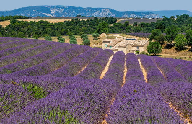 Excursión al Parque Natural del Verdon - Foto 5