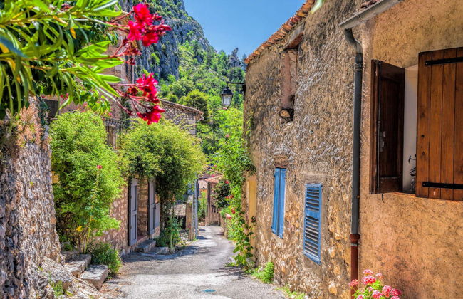 Excursión al Parque Natural del Verdon - Foto 3