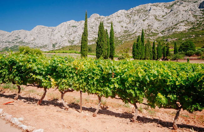 Tour del vino a Mont Sainte-Victoire - Foto 7