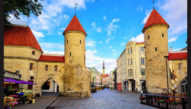 Baltics 8-Day Tour Package - Photo 2