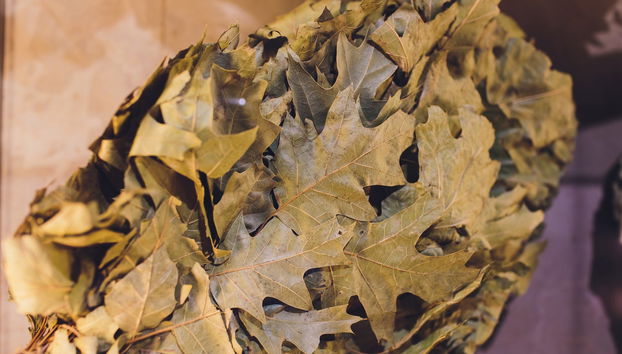 Experiencia privada de sauna en los bosques de Vilna - Foto 4