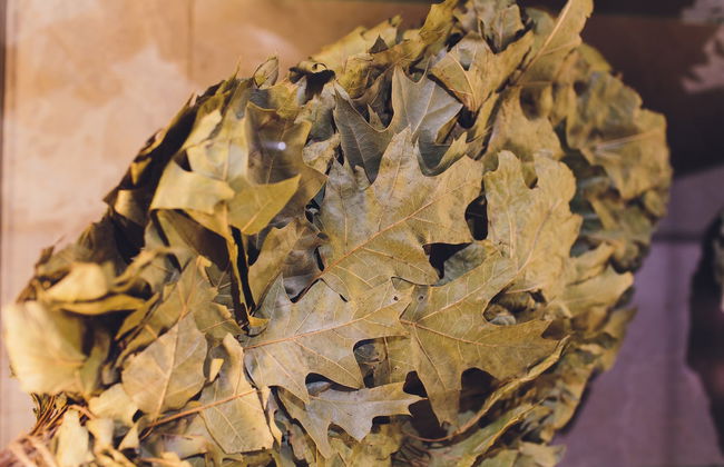 Experiencia privada de sauna en los bosques de Vilna - Foto 4