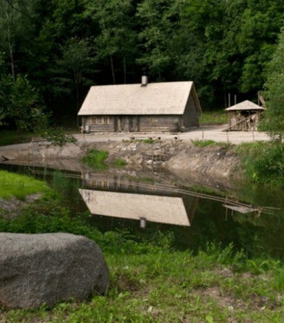 Foto de Experiencia privada de sauna en los bosques de Vilna