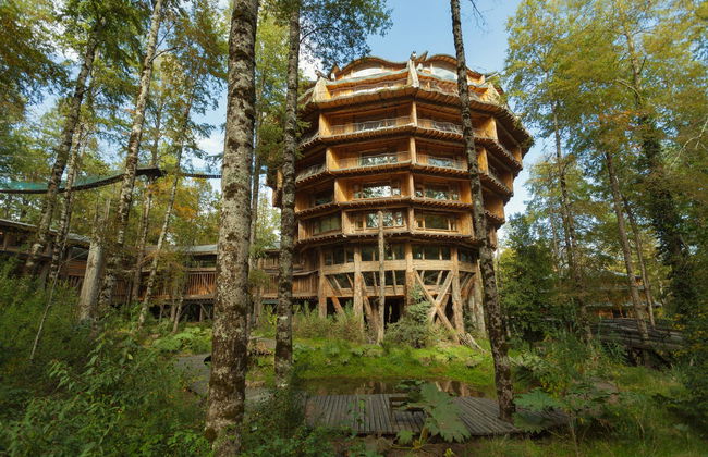 Escursione alla riserva Huilo Huilo - Foto 4