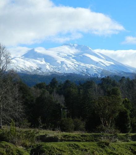 Foto de Excursión a la Reserva Huilo Huilo