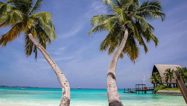 Snorkeling in Villimale - Foto 5