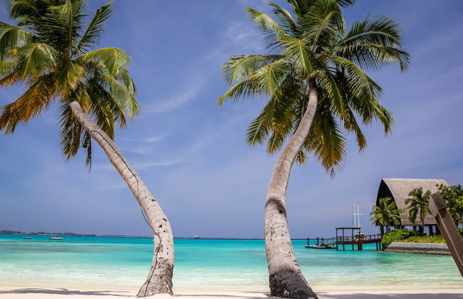 Snorkel en Villimalé - Foto 5