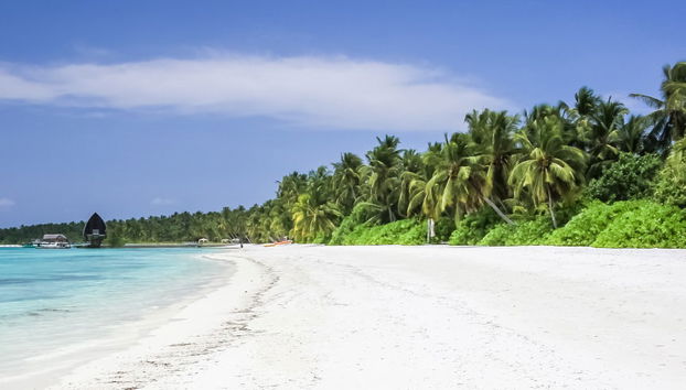 Excursión a Villimalé - Foto 4