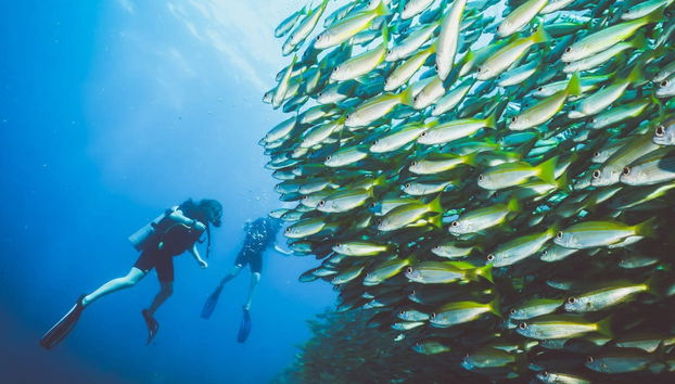 Buceo en Koh Rang - Foto 5