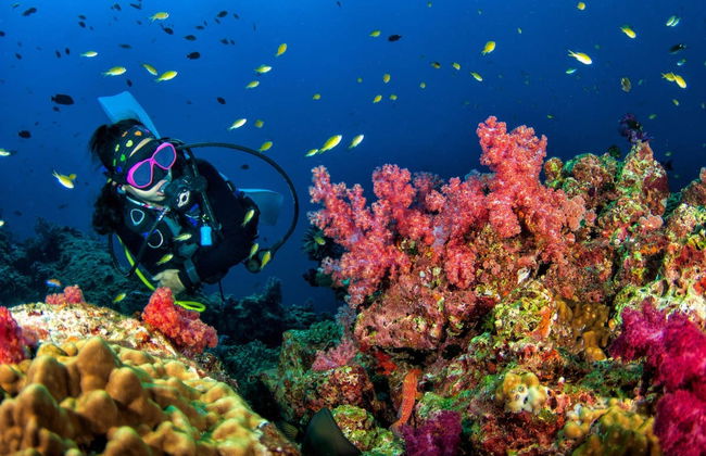 Buceo en Koh Rang - Foto 3