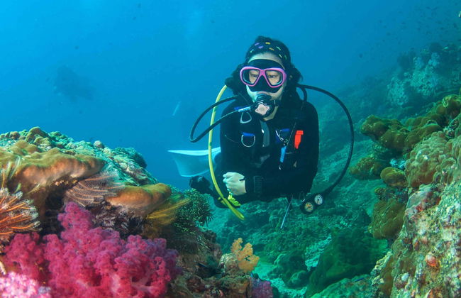 Scuba Diving in Koh Rang - Photo 2