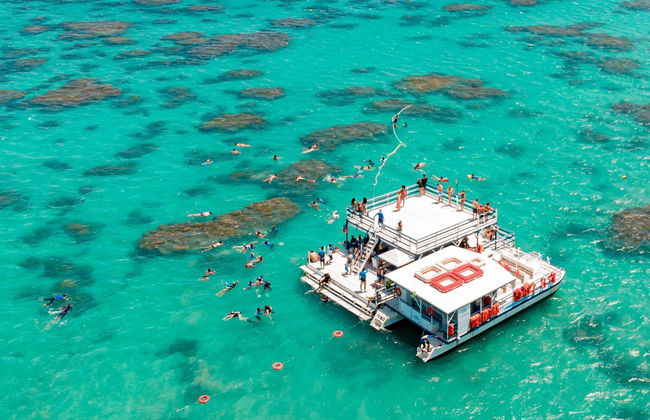Paseo en barco con snorkel en el arrecife de Maracajaú - Foto 6