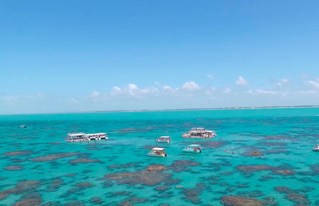 Paseo en barco con snorkel en el arrecife de Maracajaú - Foto 3