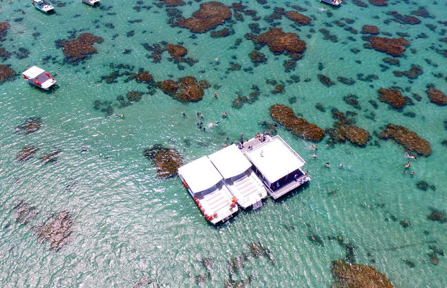 Paseo en barco con snorkel en el arrecife de Maracajaú - Foto 4
