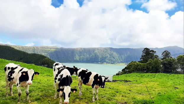 Sete Cidades and Lagoa do Fogo Day Trip - Foto 5