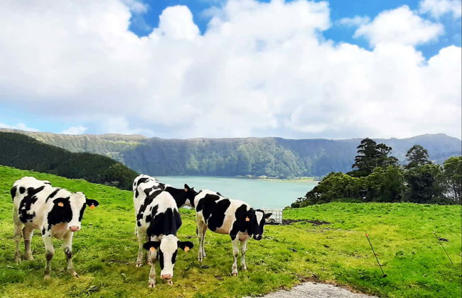 Sete Cidades and Lagoa do Fogo Day Trip - Foto 5