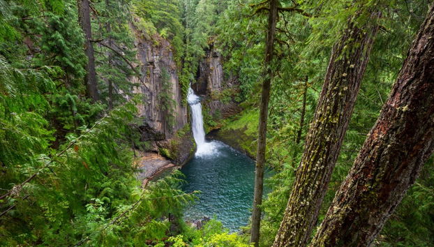 Portland Waterfalls Hop-On Hop-Off Trolleybus - Photo 4