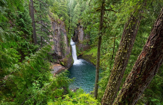 Trolebús turístico de las cascadas de Portland - Foto 4