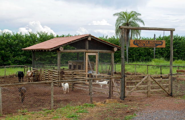Visita guiada por el Bio Park - Foto 4