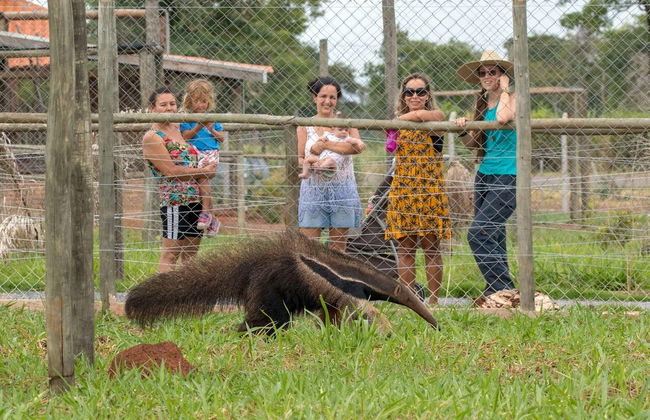 Visita guiada por el Bio Park - Foto 6