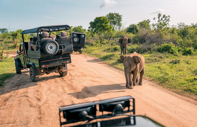Udawalawe National Park Safari Private Tour - Foto 5