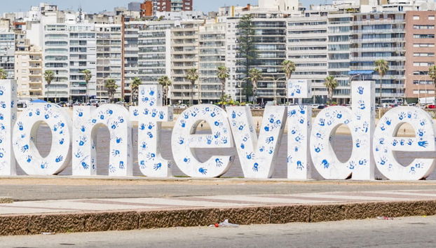 Visita guiada por Montevideo - Foto 4