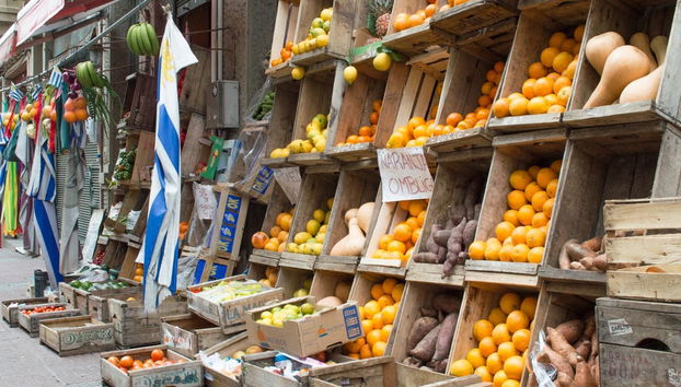 Visita guiada por Montevideo - Foto 2