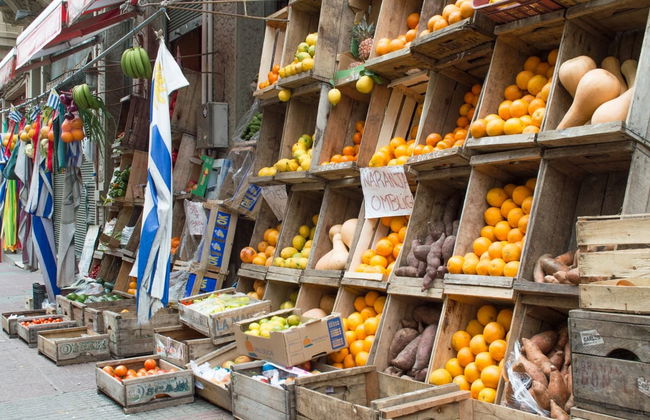 Visita guiada por Montevideo - Foto 2