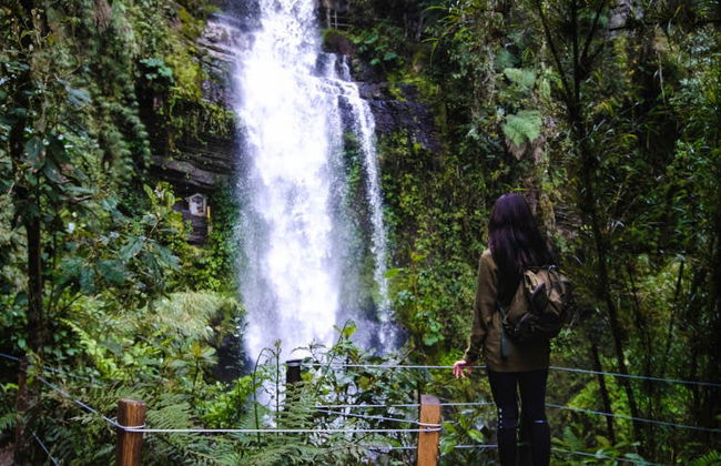 Trekking por el Parque Aventura La Chorrera - Foto 11