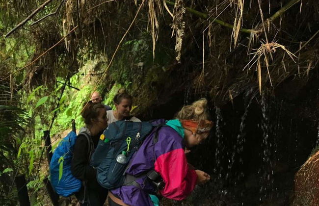 Trekking por el Parque Aventura La Chorrera - Foto 4