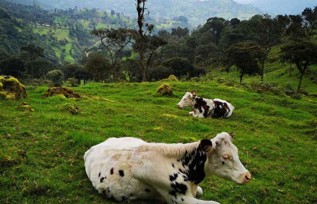 Trekking por el Parque Aventura La Chorrera - Foto 2