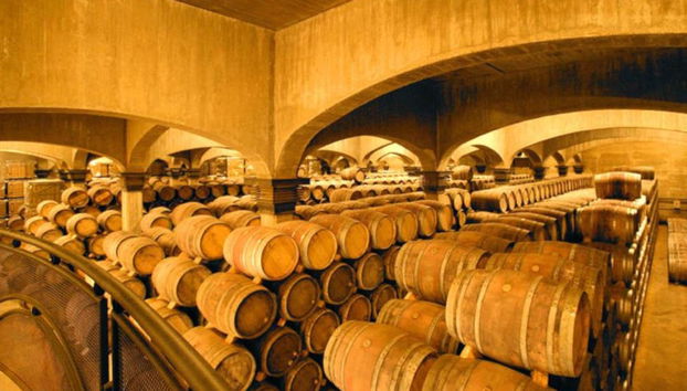 Viña Ijalba Winery Tour & Tasting - Foto 2