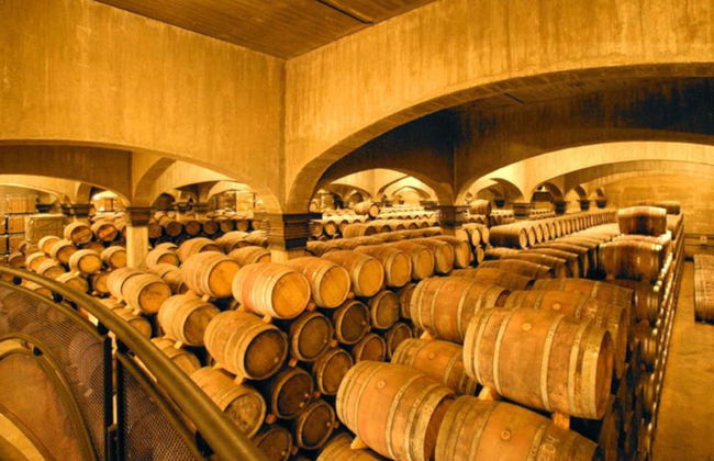 Viña Ijalba Winery Tour & Tasting - Photo 2