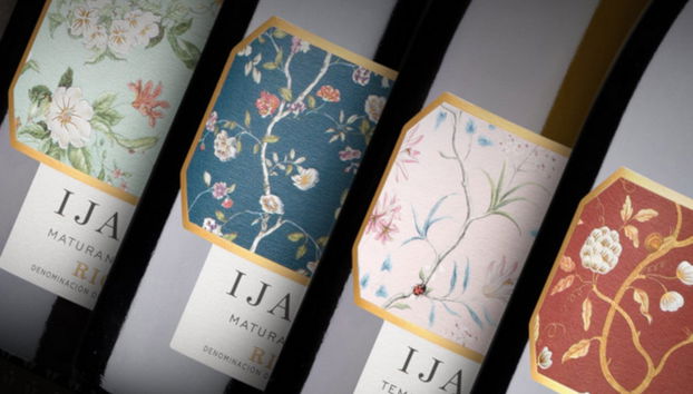 Viña Ijalba Winery Tour & Tasting - Foto 3