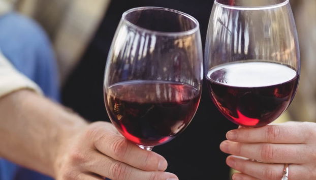 Viña Ijalba Winery Tour & Tasting - Foto 5