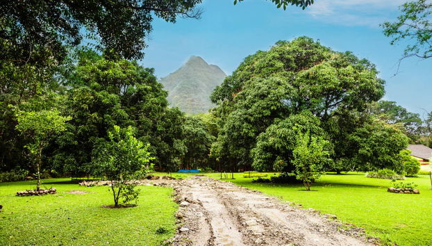 Day Trip to El Valle de Antón - Foto 4