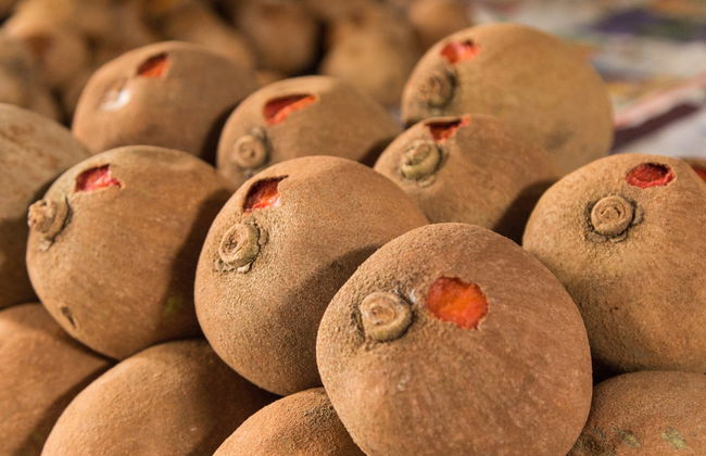 Tour de la fruta colombiana - Foto 7